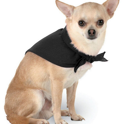 Bash Dog Bandana Thumbnail